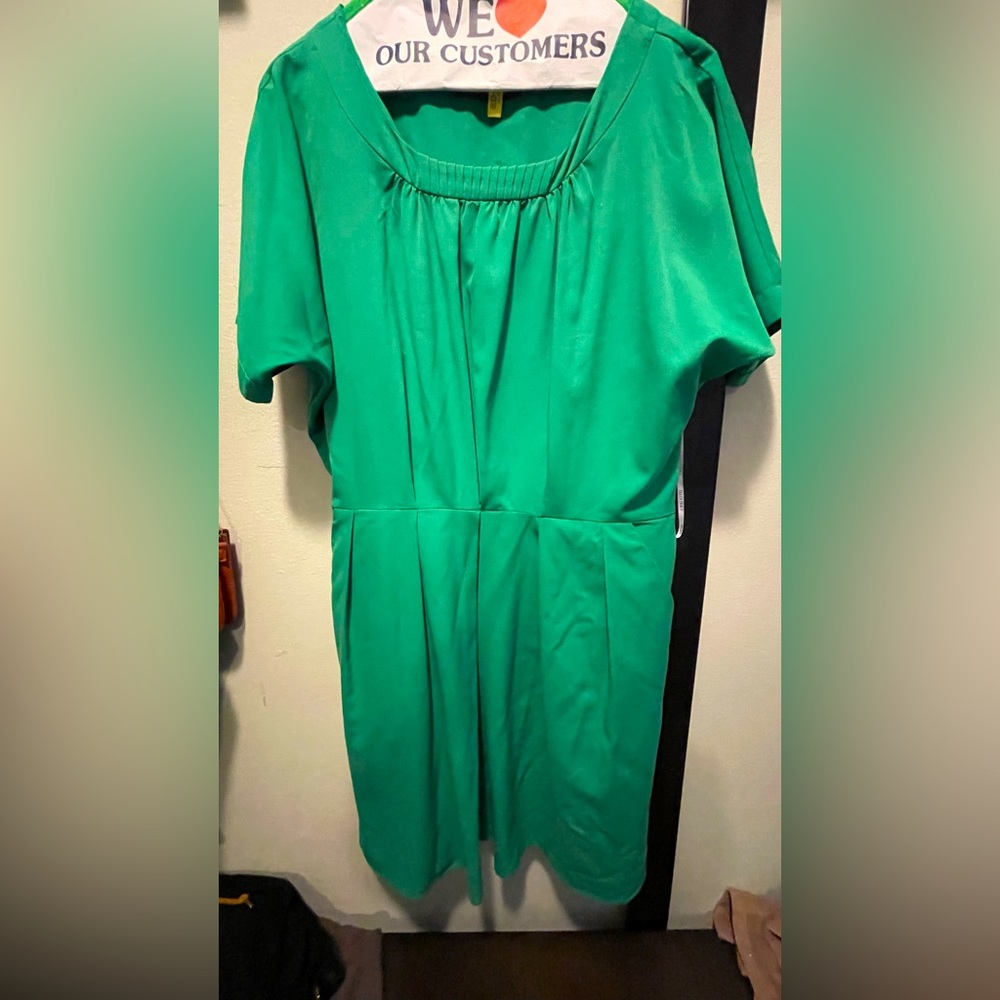 Ellen Tracy dress - inside fitted lining but has loose sleeves and top